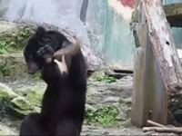 Kung fu panda :D