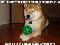 Dlaczego wyrzucacsz!