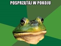 oszołom się!