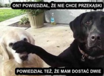 On nie chce