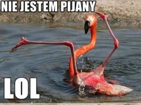 Jestem pijany