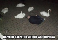 Łabędź