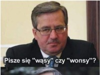 Pisze się "wąsy" czy "wonsy"?