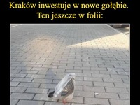 Nowości w mieście królów