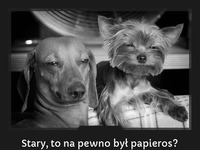 Stary, to na pewno byl papieros