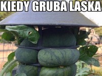 Gruba laska