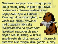 Chłopiec był zbulwersowany! Jak tak można!