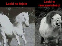 Laski na fejsie