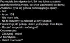 Przyleciała blondynka do USA i... Haha dobre