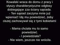 Klasycznie Kowalski wraca do domu z pracy i chce się w spokoju napić piwa, ale nie może bo za ścianą... HAHAHA