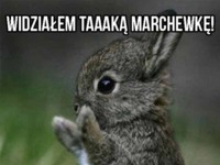 Widziałem taaaką marchewkę :D