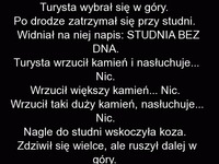 HAHA Turysta sprawdza, czy studnia ma dno czy nie . Wrzuca kamień i ... PADNIESZ!