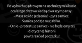 Po wybuchu jądrowym na drzewie siedzą dwa szympansy! Mocny kawał :D