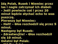 Idą Polak, Rusek i Niemiec przez las i nagle zatrzymał ich diabeł  :D