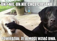 Ciastka :D