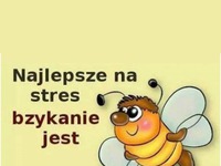 NAJLEPSZY sposób na STRES! HAHA!