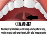 Wiesz do czego to służy Ma specjalne zadanie, które pozwoli Ci na... :D