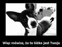 Więc mówisz że to łóżko jest twoje