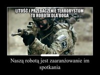 Litość i przebaczenie to robota dla boga, nasza robotą jest...