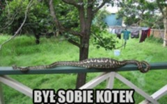 był sobie kotek