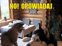 NO! Opowiada! :D