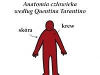 anatomia