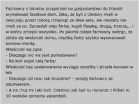 Fachowcy z Ukrainy przyjechali na gospodarstwo do Irlandii :D