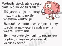 Pokłóciły się części ciała o to kto rządzi! Okazało się, że... HAHA DOBRE!