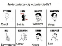 Jakie zwierzę Cię odzwierciedla? :)