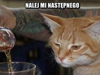 Najlej następnego