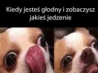 Kiedy jestes głodny