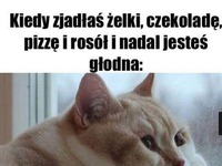 Dalej głodna