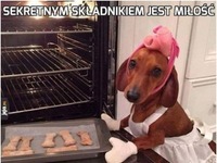 Haha, miłość i co jeszcze? Ten drugi BARDZIEJ MNIE ŚMIESZY XD