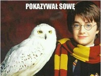 pokazywał sowę