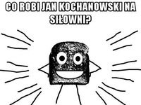 co robi kochanowski