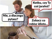 Kotku, gdzie ty jesteś myślami?