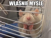 Właśnie myślę o tobie