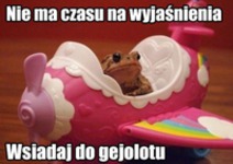 Wsiadaj do gejolotu XD