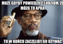 Mózg to apka