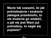 szukanie