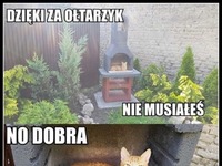 Mój kot - pozory vs rzeczywistość XD