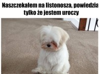 Ale słodziak