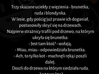 Trzy skazane uciekły z więzienia - brunetka, ruda i blondynka :D