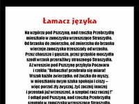 HEHE na bank nie dasz rady przeczytać poprawnie całości!