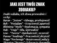 Znak zodiaku