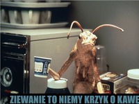 Niemy krzyk