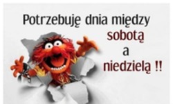 Potrzebuję dnia