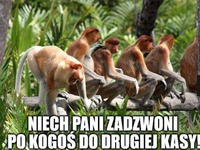 Niech pani