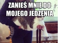 Zanieś mnie