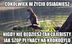 nigdy taki nie będziesz